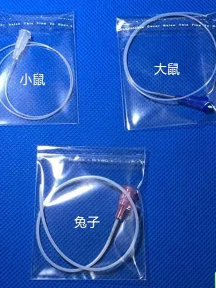 动静脉插管(仅供动物实验用)