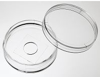 35mm玻片带格子的玻底皿(格子在外面)格子大小0.6*0.6mm