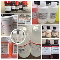 hydroxyphenyl  fluorescein(HPF) 羟苯基荧光素