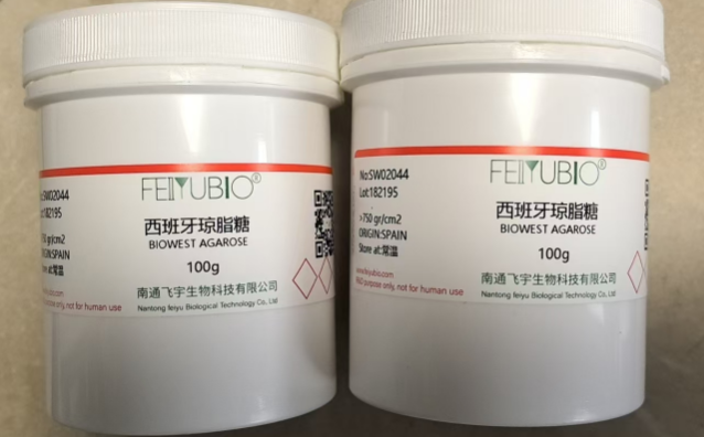 西班牙琼脂糖BIOWEST AGAROSE