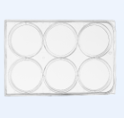 超低吸附6孔细胞培养板