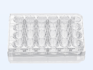 超低吸附24孔细胞培养板