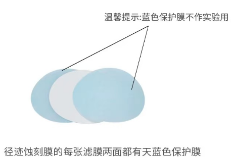 whatman聚碳酸酯PC核孔膜 47mm